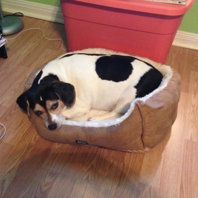 Profile Picture of Missy Combs-Peters (@MCPnTexas) on Twitter