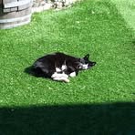 Profile Picture of Jordan Descombes (@jordan.descombes.9) on Facebook