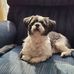 Profile Picture of Maurice James Organ (Maurice Uriah Todd Fudge) (@mauriceistheman) on Facebook