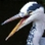 Profile Picture of David Connolly (@bookmakerthesecond) on Flickr