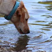 Profile Picture of Carlos Adrian (@carlosadrian2297) on Youtube