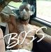 Profile Picture of Josh Andrews (@josh.andrews.77582) on Facebook