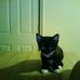 Profile Picture of Thomas Jowers (@thomas.jowers.3) on Facebook