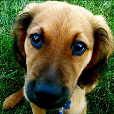 Profile Picture of Thomas Neisler (@jeremiah11719) on Twitter