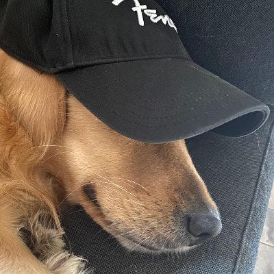 Profile Picture of Romain (@RimokhRomain) on Twitter