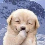 Profile Picture of Wendell Jason M. Adino (@jhannenathana.gerasmio) on Instagram