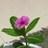 Profile Picture of Michael Feng (@31664902569) on Tiktok