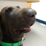 Profile Picture of ken snider (@gsp1215) on Instagram