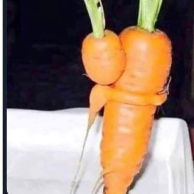 Profile Picture of Brandon Wozniak (@wozniakb4) on Twitter