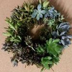 Profile Picture of Diana Slider Morrow (@slidermorrow) on Instagram