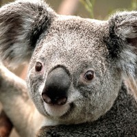 Profile Picture of Kevin Donegan (@kevin-donegan-9) on Quora