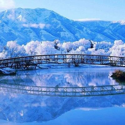 Profile Picture of Melody Schultz (@MelodySchultz17) on Twitter