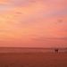 Profile Picture of Holly Alperin (@halperin) on Pinterest