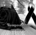 Profile Picture of Berta Mendoza (@berta.mendoza.5) on Facebook