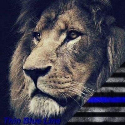 Profile Picture of Dan Dove (@DanDove600) on Twitter