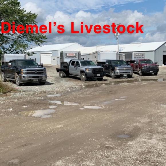 Profile Picture of Ryan Diemel (@ryandiemel) on Poshmark