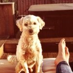 Profile Picture of Brady Doran (@bradywoofwoof) on Instagram