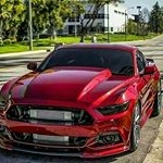 Profile Picture of Cleverson Rodrigues (@cleverson.rodrigues.7161) on Instagram