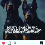 Profile Picture of steve (@steve_aune) on Instagram