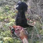 Profile Picture of Stuart Lambert (@lambertstuart) on Instagram
