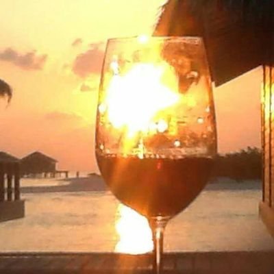 Profile Picture of Paularedwine (@paularedwine) on Twitter