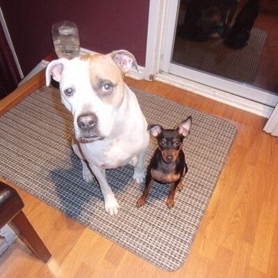 Profile Picture of Bill McLean (@WilliamSMcLean) on Twitter