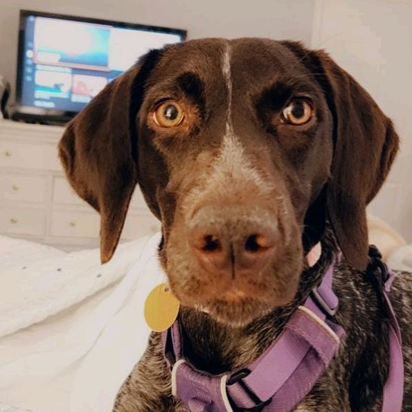 Profile Picture of Bryan Balch813 (@bbabc813) on Tiktok