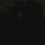 Profile Picture of Scotty Burns (@burns.scotty) on Instagram