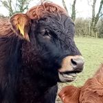 Profile Picture of Peter Keenan (@peter_keenan6014) on Instagram