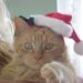 Profile Picture of Andy Barrera (@littleneck1) on Pinterest