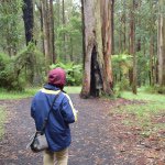 Profile Picture of James Hollowood (@jamosnaps) on Instagram