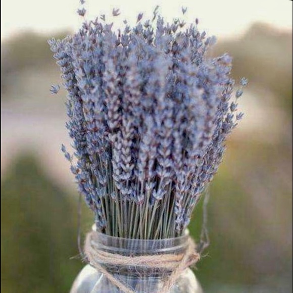 Profile Picture of Sandra Forgey (@closet_magic) on Poshmark