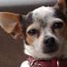 Profile Picture of Mildred Rawrson (@mildred.rawrson) on Facebook