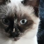 Profile Picture of Cathy Vandermeersch (@cathyvandermeersch) on Instagram