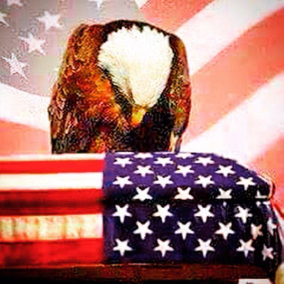 Profile Picture of Dave & Paula Welch (@PaulaDave) on Twitter