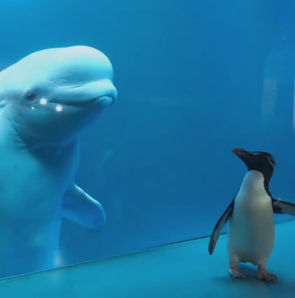 Peter Wang - Poshmark Profile Picture of Peter Wang (@petah423) on Poshmark