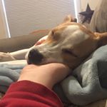 Profile Picture of Scott Whitford (@iffyman_1270) on Instagram