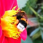 Profile Picture of david noble (@dw283993) on Instagram