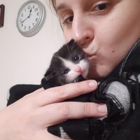 Profile Picture of Meredith Wilson (@meredith-wilson-27) on Quora