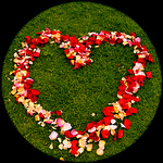 Profile Picture of Frankie Najor (@frankienajorphotography) on Flickr