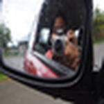 Profile Picture of Azzian Pay (@azzian04) on Flickr