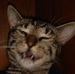 Profile Picture of Kevin Tolar (@kevin.tolar.5) on Facebook