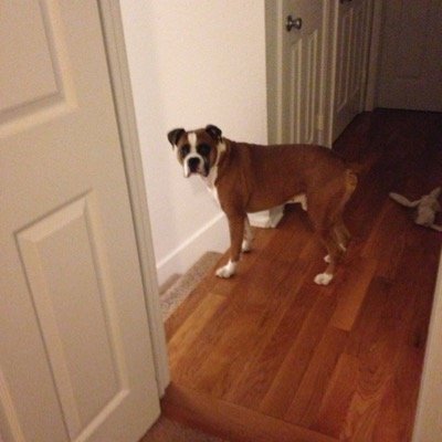 Profile Picture of Darin Henley (@dfhkrc) on Twitter