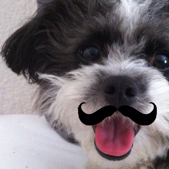 Marianna Mielew - Poshmark Profile Picture of Marianna Mielew (@maszka) on Poshmark