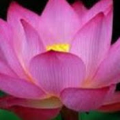 Profile Picture of Silvia Jaramillo (@silviajaramillo5036) on Youtube