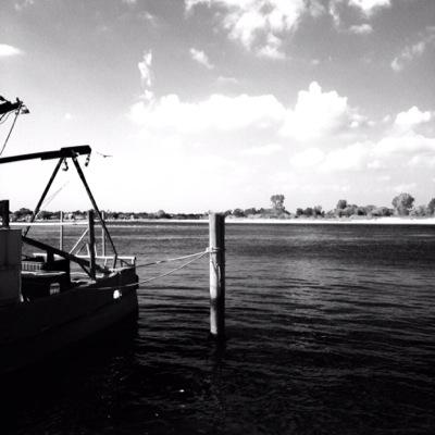 Profile Picture of John Proto (@proto_john) on Twitter