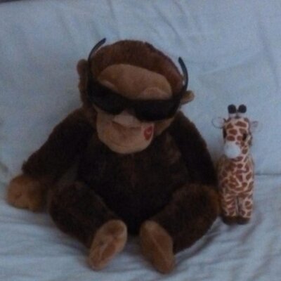 Profile Picture of Secret Me (@wave2dawn) on Twitter