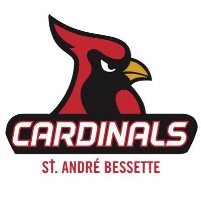 Profile Picture of St. André Bessette PFit (@sangbleu78) on Twitter