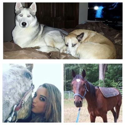 Profile Picture of Amanda Keyes (@AmandaKeyes4) on Twitter