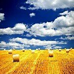 Profile Picture of 阿政Edwin Wu (@edwin_wu17) on Instagram